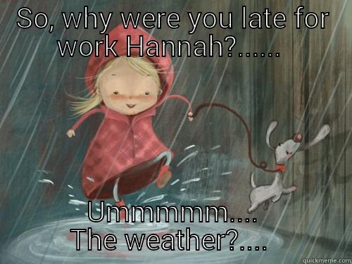 Rainy day  - SO, WHY WERE YOU LATE FOR WORK HANNAH?......  UMMMMM.... THE WEATHER?....  Misc