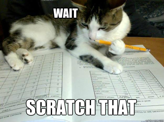 Wait Scratch that  Study Cat