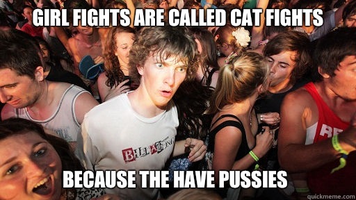 GIRL FIGHTS are called cat fights Because the have pussies  Sudden Clarity Clarence
