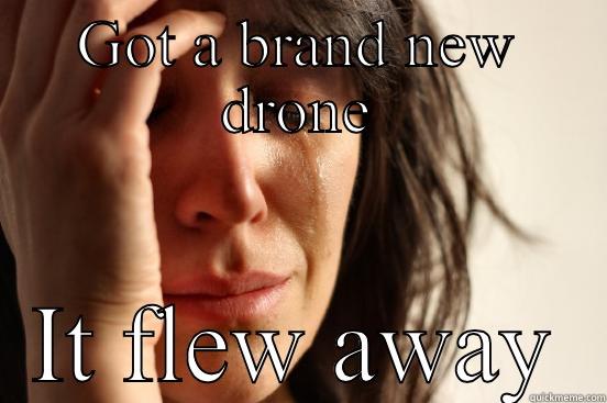 GOT A BRAND NEW DRONE IT FLEW AWAY First World Problems