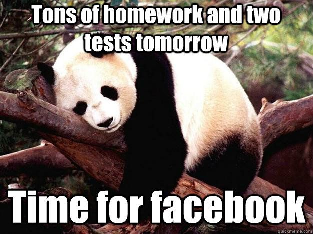 Tons of homework and two tests tomorrow Time for facebook  Procrastination Panda