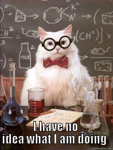 I HAVE NO IDEA WHAT I AM DOING  Chemistry Cat