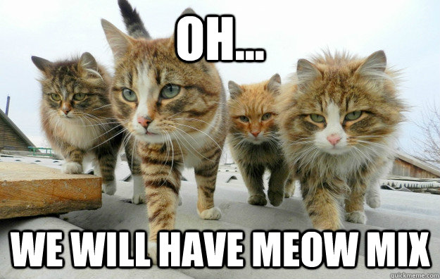 Oh... We will have meow mix - Oh... We will have meow mix  Agenda Cats