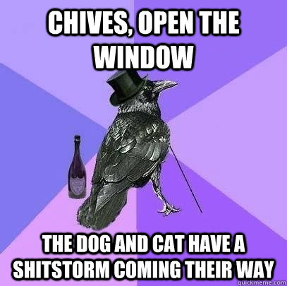 Chives, open the window The dog and cat have a shitstorm coming their way  Rich Raven