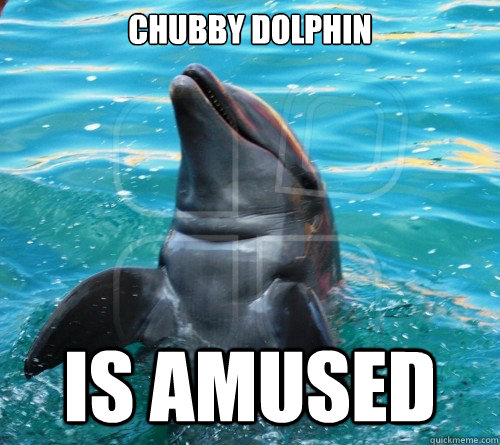 Chubby dolphin Is amused  Chubby Dolphin