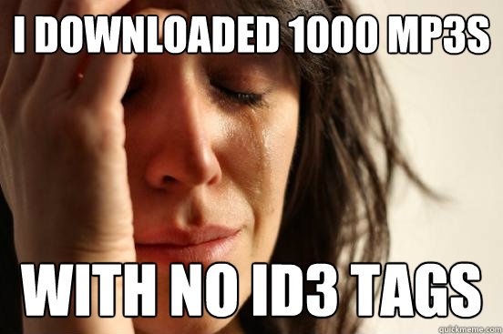 I downloaded 1000 mp3s with no ID3 tags  First World Problems