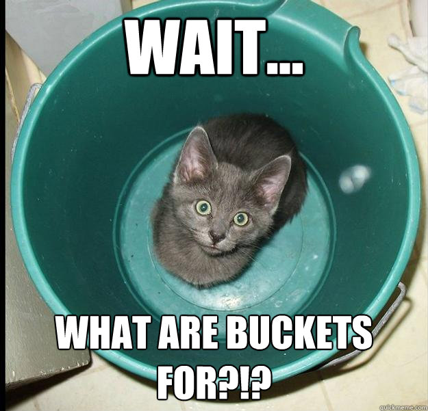 Wait...  what are buckets for?!? - Wait...  what are buckets for?!?  Bucket Kitty