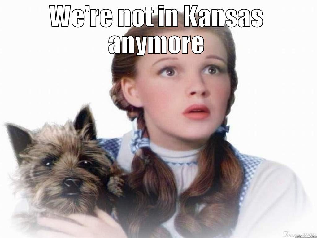 WE'RE NOT IN KANSAS ANYMORE  Misc