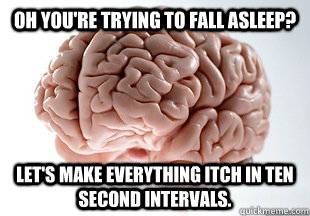 Oh you're trying to fall asleep? let's make everything itch in ten second intervals. - Oh you're trying to fall asleep? let's make everything itch in ten second intervals.  Scumbag Brain Strikes Again!