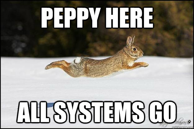Peppy here all systems go  