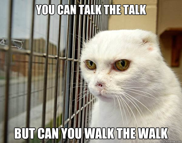 you can talk the talk but can you walk the walk  Jail Cat