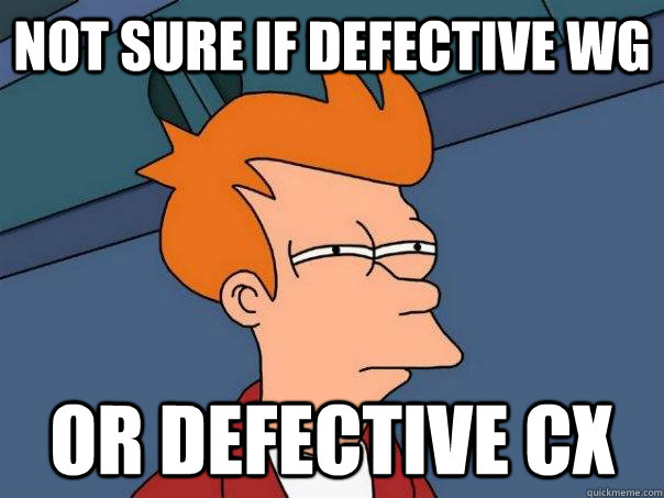 Not sure if defective WG or defective cx  Futurama Fry