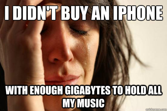 I didn't buy an iphone with enough gigabytes to hold all my music  First World Problems