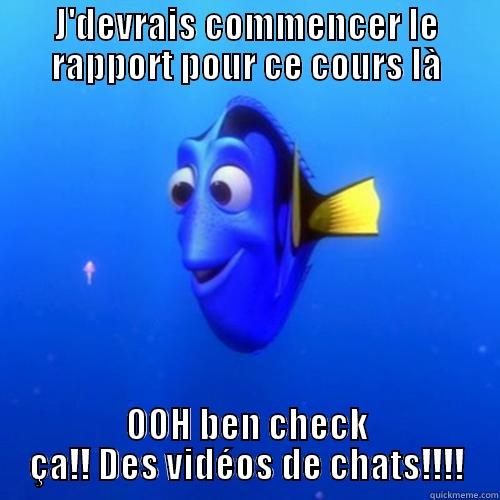 J'DEVRAIS COMMENCER LE RAPPORT POUR CE COURS LÀ OOH BEN CHECK ÇA!! DES VIDÉOS DE CHATS!!!! dory