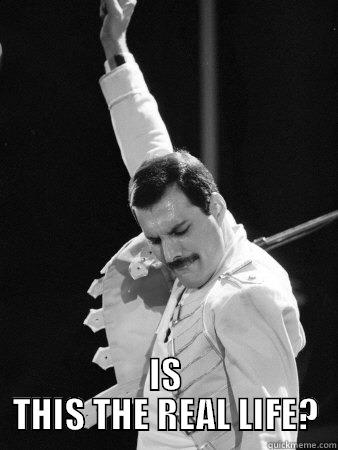 Is this the real life? -  IS THIS THE REAL LIFE? Freddie Mercury