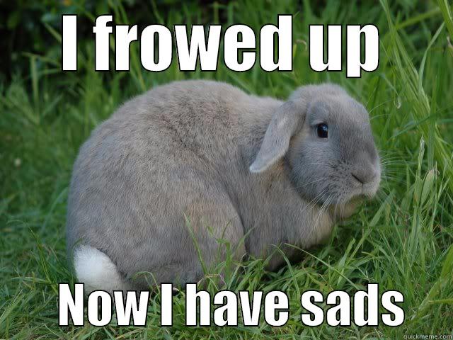 sad bunny - I FROWED UP        NOW I HAVE SADS     Misc