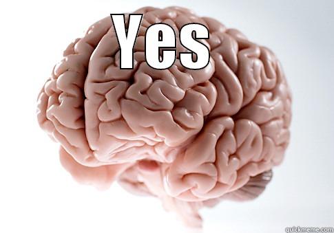 YES  Scumbag Brain