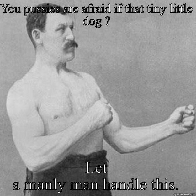 YOU PUSSIES ARE AFRAID IF THAT TINY LITTLE DOG ? LET A MANLY MAN HANDLE THIS. overly manly man