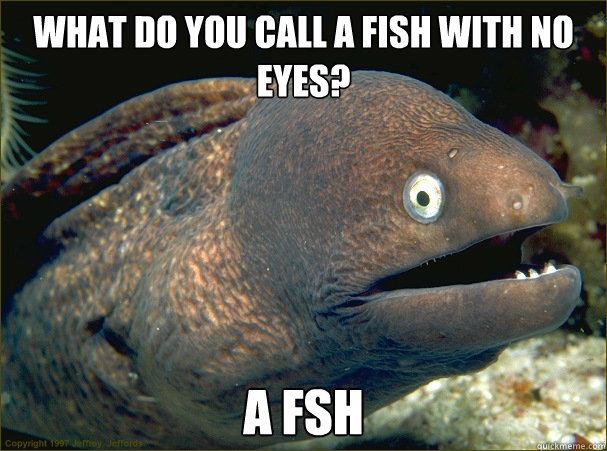 What do you call a fish with no eyes?  A fsh - What do you call a fish with no eyes?  A fsh  Bad Joke Eel