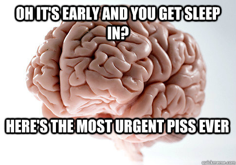 oh it's early and you get sleep in? here's the most urgent piss ever  Scumbag Brain