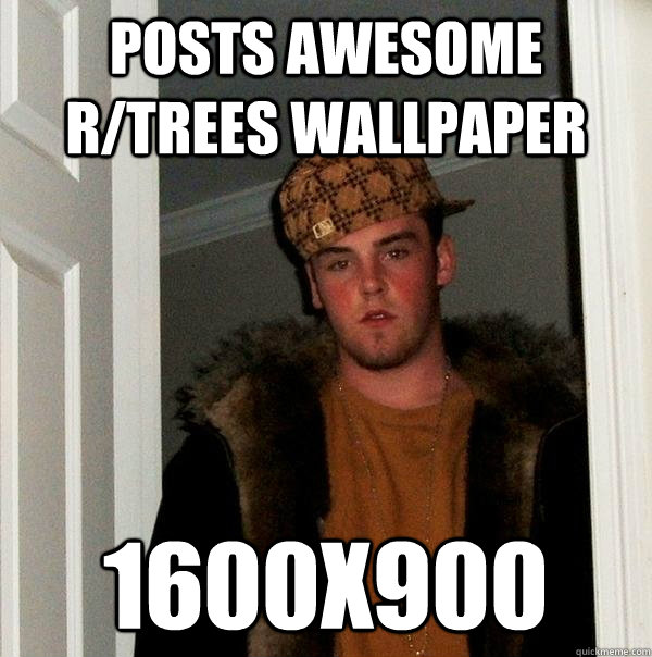 posts awesome r/trees wallpaper 1600x900  Scumbag Steve
