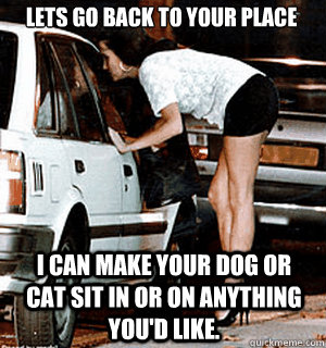 Lets go back to your place I can make your dog or cat sit in or on anything you'd like.  Karma Whore