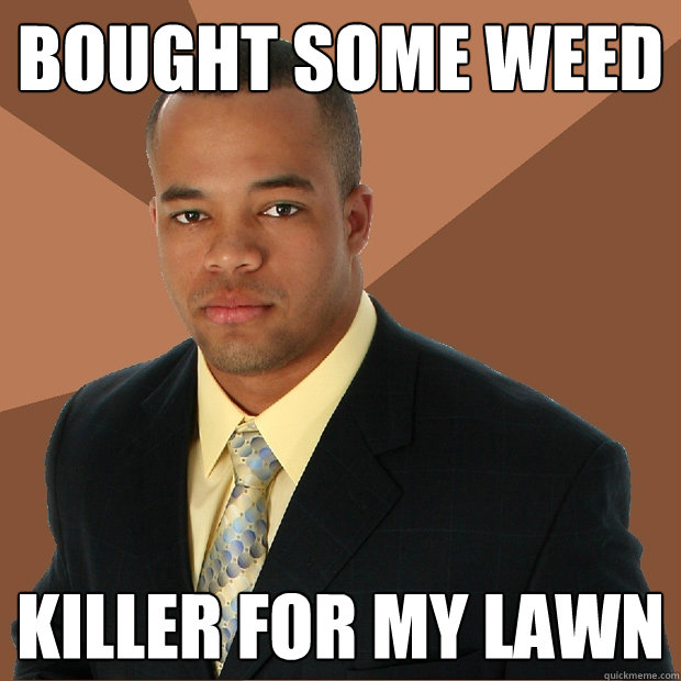 Bought some weed killer for my lawn  Successful Black Man