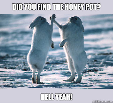 Did you find the Honey Pot? Hell Yeah!  Bunny Bros