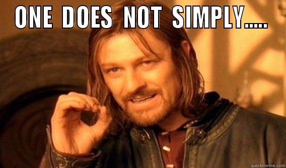 ONE  DOES  NOT  SIMPLY.....  One Does Not Simply
