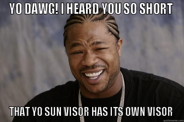 YO DAWG! I HEARD YOU SO SHORT THAT YO SUN VISOR HAS ITS OWN VISOR Xzibit meme