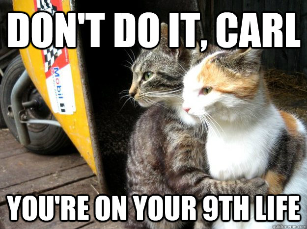 Don't do it, carl you're on your 9th life  Restraining Cat