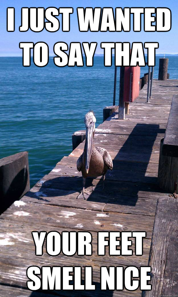 I just wanted to say that Your feet smell nice Socially Awkward