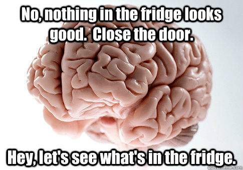 No, nothing in the fridge looks good.  Close the door. Hey, let's see what's in the fridge.   Scumbag Brain