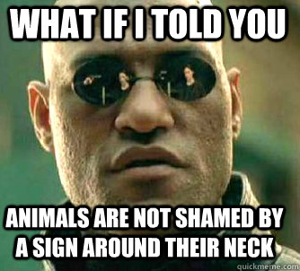what if i told you animals are not shamed by a sign around their neck  Matrix Morpheus