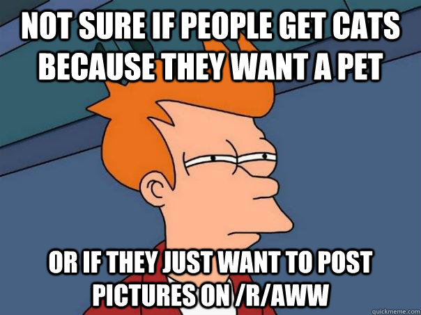 not sure if people get cats because they want a pet Or if they just want to post pictures on /r/Aww  Futurama Fry