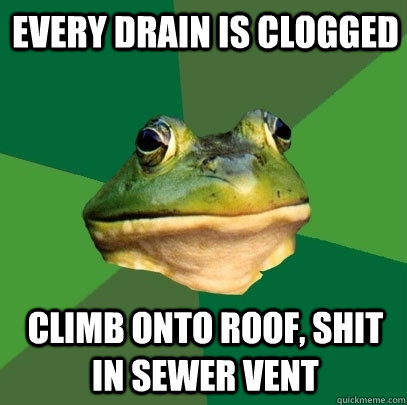 every drain is clogged climb onto roof, shit in sewer vent  Foul Bachelor Frog