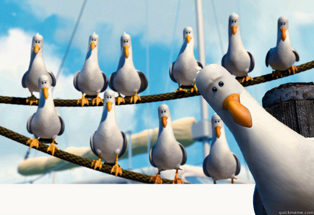   -    Finding Nemo Mine Seagulls