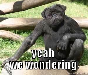  YEAH WE WONDERING Misc