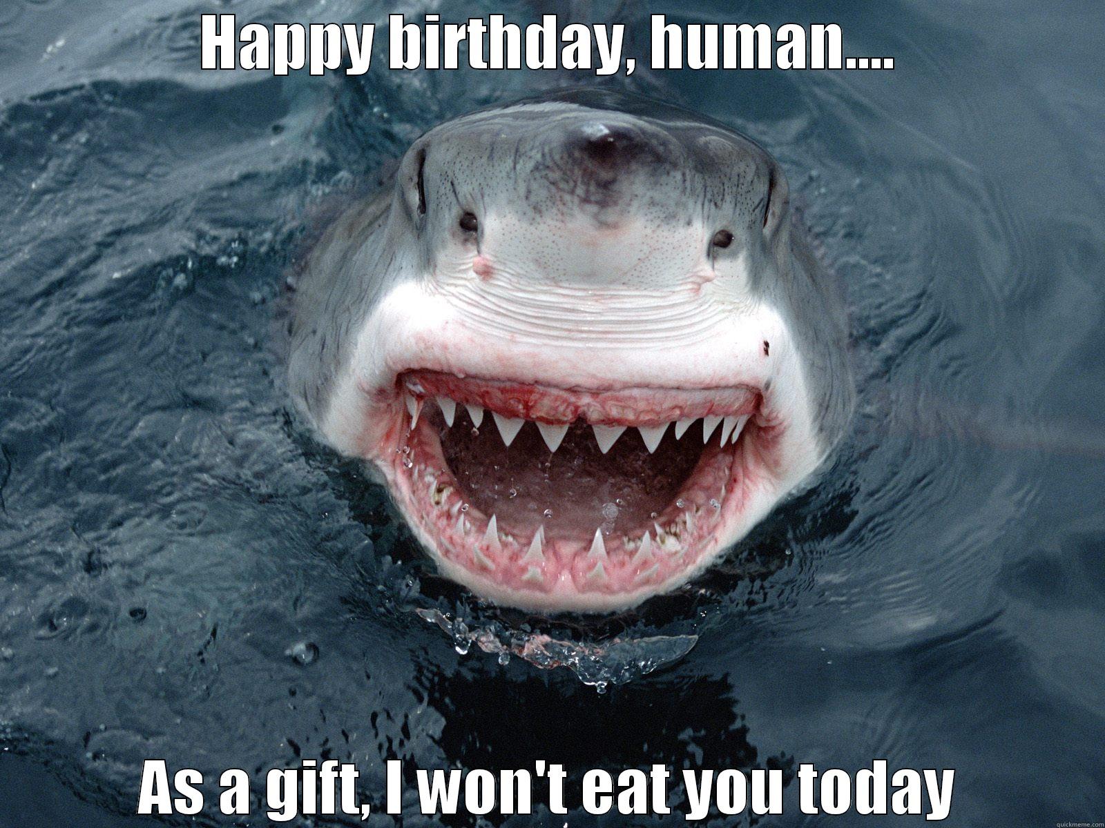 HAPPY BIRTHDAY, HUMAN.... AS A GIFT, I WON'T EAT YOU TODAY Misc