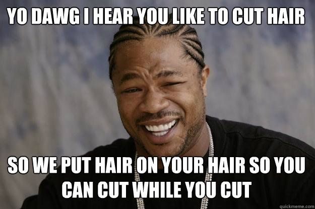 YO DAWG I HEAR YOU Like to cut Hair so we put hair on your hair so you can cut while you cut  Xzibit meme