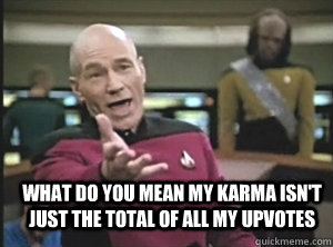  What do you mean my karma isn't just the total of all my upvotes  Annoyed Picard
