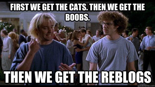 FIRST WE GET THE CATS. THEN WE GET THE BOOBS. THEN WE GET THE REBLOGS  BASEKETBALL MEME