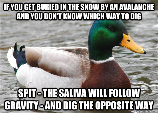 If you get buried in the snow by an avalanche and you don't know which way to dig Spit - the saliva will follow gravity - and dig the opposite way - If you get buried in the snow by an avalanche and you don't know which way to dig Spit - the saliva will follow gravity - and dig the opposite way  Actual Advice Mallard