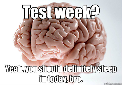 Test week? Yeah, you should definitely sleep in today, bro.  Scumbag Brain