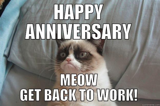 Happy Anniversary - HAPPY ANNIVERSARY MEOW GET BACK TO WORK! Grumpy Cat