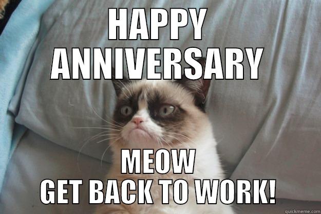 HAPPY ANNIVERSARY MEOW GET BACK TO WORK! Grumpy Cat