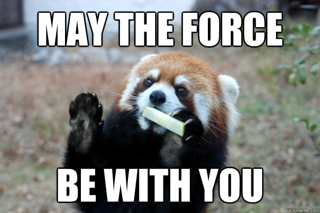 MAY THE FORCE BE WITH YOU - MAY THE FORCE BE WITH YOU  Jedi Red Panda