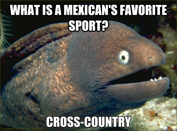 What is a mexican's favorite sport? Cross-country  Bad Joke Eel