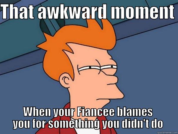 THAT AWKWARD MOMENT  WHEN YOUR FIANCEE BLAMES YOU FOR SOMETHING YOU DIDN'T DO Futurama Fry