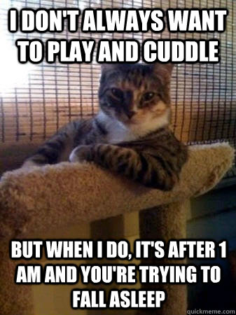 I don't always want to play and cuddle but when I do, it's after 1 am and you're trying to fall asleep  The Most Interesting Cat in the World